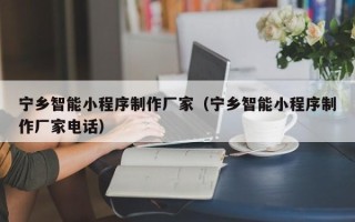 博尔塔拉宁乡智能小程序制作厂家（宁乡智能小程序制作厂家电话）